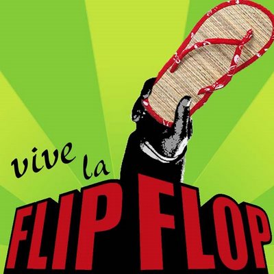 Image result for flip flopper