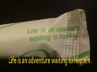life is an adventure waiting to happen